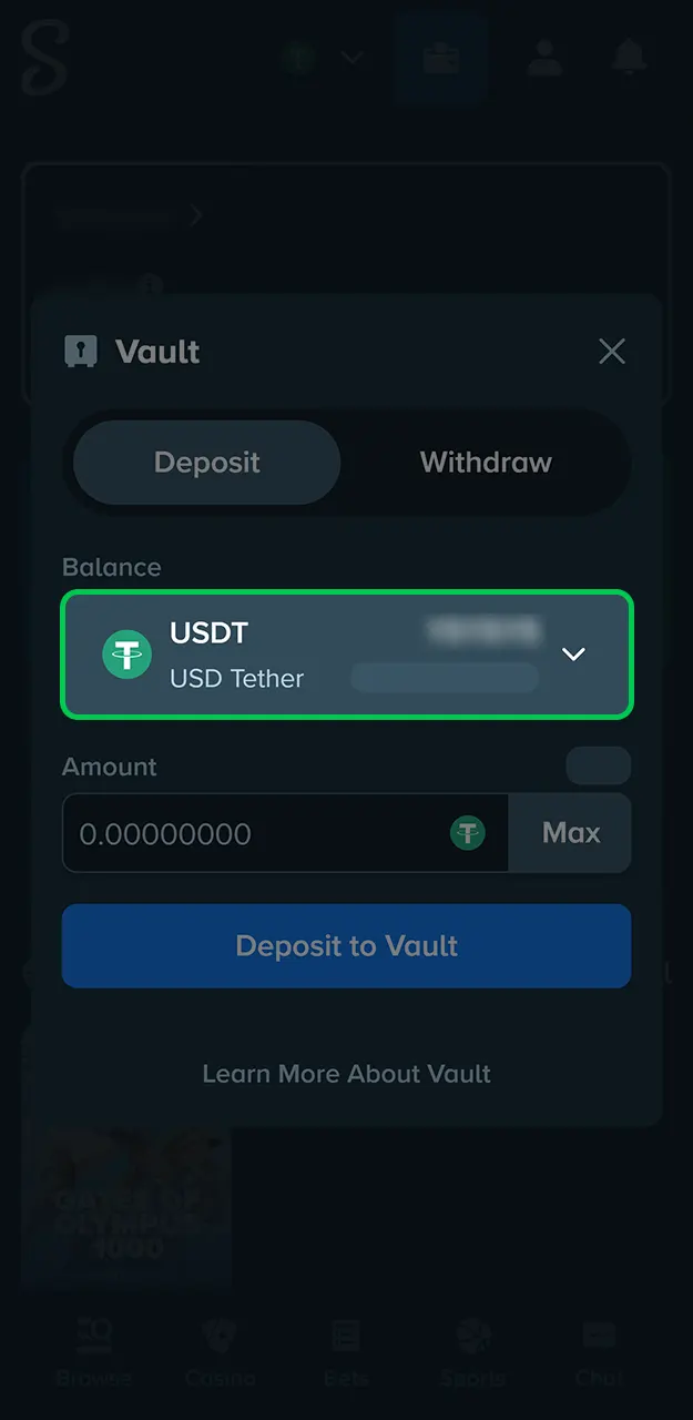 Select a payment method, wallet, or cryptocurrency on Stake.